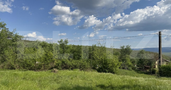 Teren intravilan de vanzare, 15080 mp, zona Tătărăști