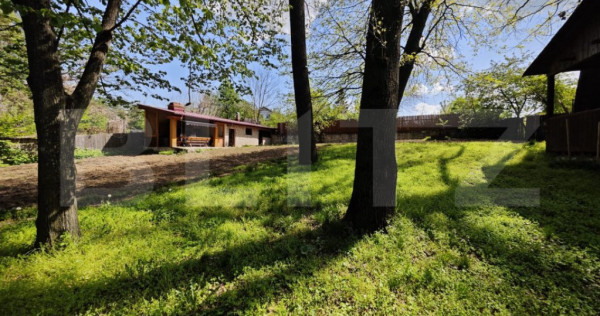 Padure in Barnova 1800 mp + 600 mp teren pentru casa