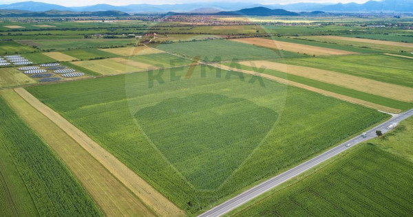 DE VÂNZARE| Teren industrial 59,600mp Feldioara / DN 13 ...