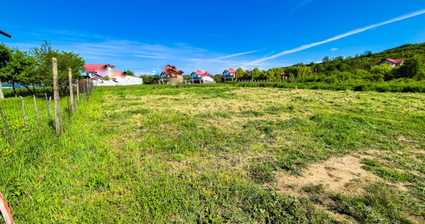 Teren intravilan Vranesti , Calinesti Arges