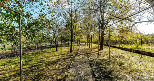 Vilă 5 camere Grădiște | 2 corpuri | 0% comision. Pre?...