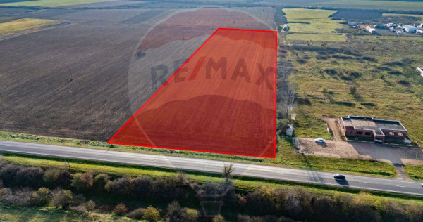 Teren 29220 mp Pecica,DN7, langa autostrada- Ideal pentru...