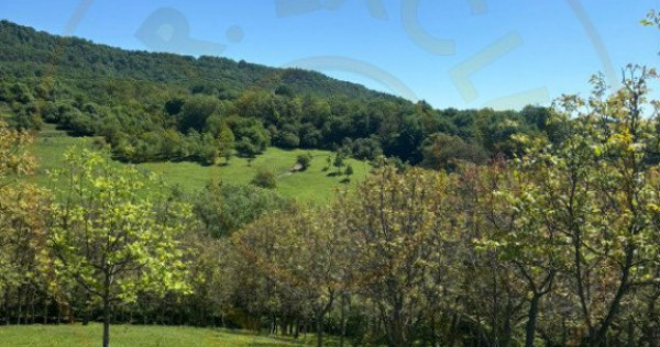 Terenuri 12.225 mp - Ramnicu Valcea, Aranghel