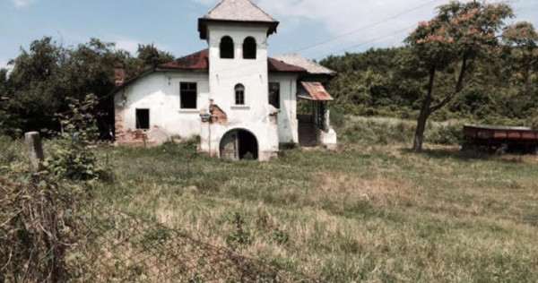 Conac boieresc + teren de 53.000 mp cu vita de vie