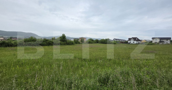 Teren intravilan, 48,3 ari zona Valea Rusului,