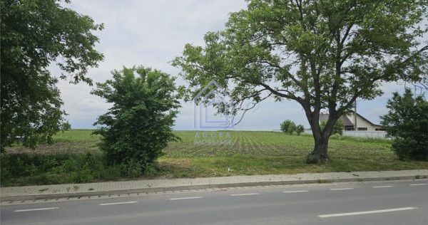 Teren , Liteni Moara, la sosea