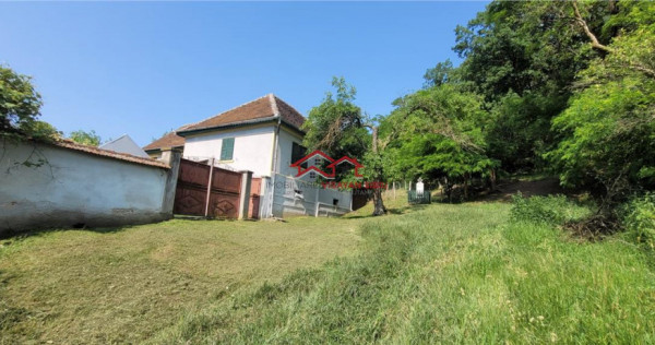 Casa sat Sangatin, jud.Sibiu, cu teren1.93 Ha,comision 0