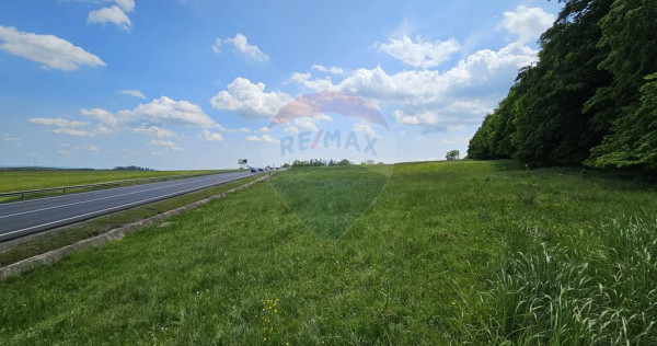 Teren Ilisesti 7000mp extravilan/ DN 17, Suceava