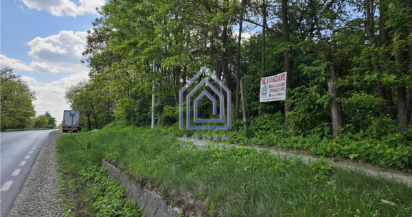 Suceava, Draguseni, teren cu casa batraneasca, langa troit