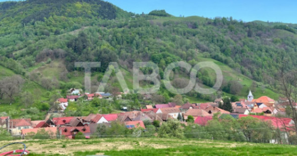 Teren 1059 mp in Raul Sadului– Natura liniste si investit