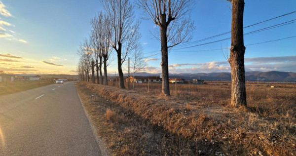 Hala si teren 2,5 ha - infrastructură industrială