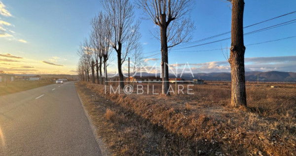 Hala si teren 2,5 ha - infrastructură industrială