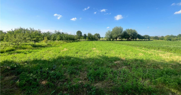 TEREN INTRAVILAN, 1200 mp, HARMAN, COMISION 0%