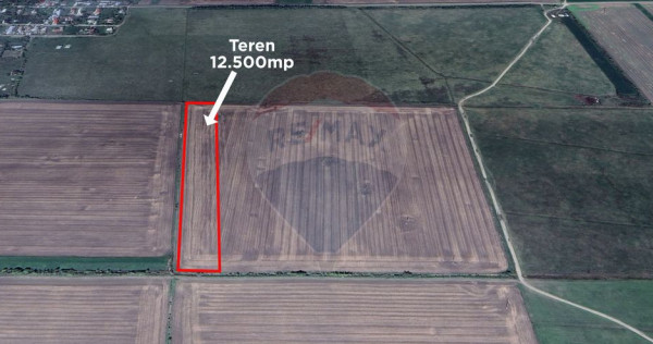 Teren 12.500 mp/Extravilan/ Dumbrava-Prahova