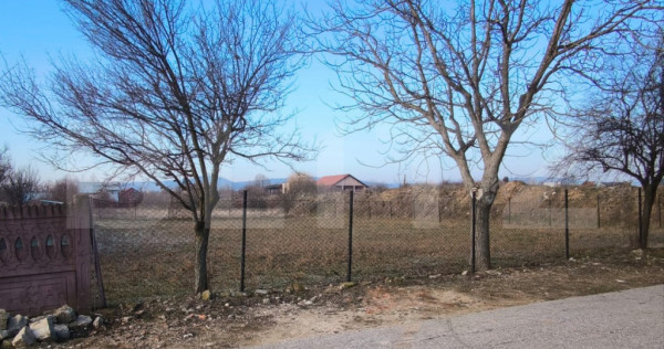 Teren intravilan 550 mp, stradal, zona Podari