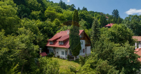 V&acirc;nzare 2 construcții, teren 3140 mp, &icirc;n Centrul Istor...