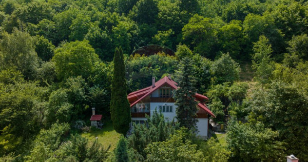 Vanzare două vile, cu potential investitional &icirc;n Brașo...