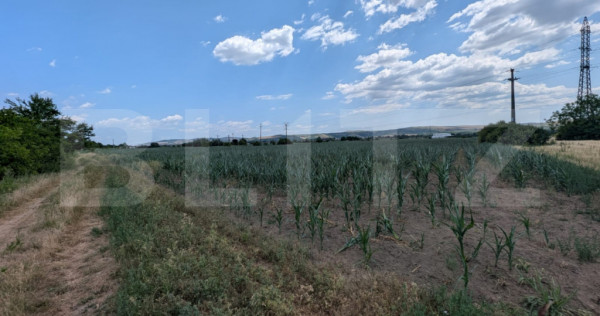 Teren de vanzare, soseaua de centura