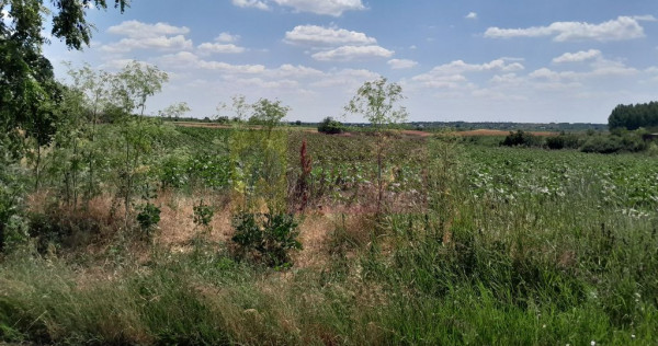 TEISORI /GR - 2 LOTURI LIPITE (TOT. 16500 MP) DE VZ 100K ...