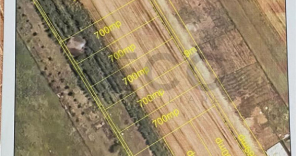 RECO Teren intravilan Biharia