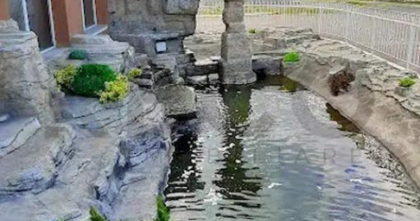 RECO Afacere la cheie cu clientela