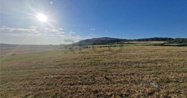 RECO teren extravilan Betfia