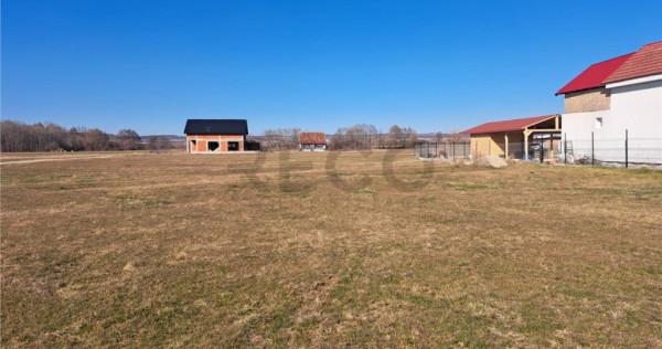 RECO teren intravilan Sabolciu