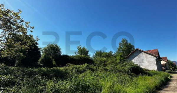 Reco Teren intravilan Beius