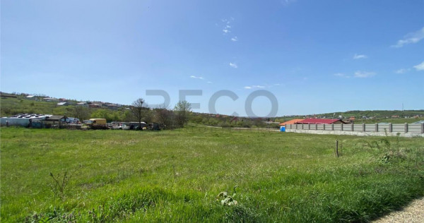 RECO Teren intravilan pe Str Beldiceanu 984mp