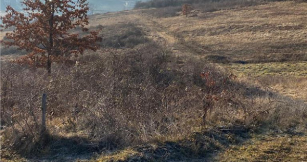 RECO Teren intravilan zona Hanul Pescarilor 1250mp