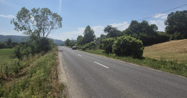 Berinta, 55 ari teren