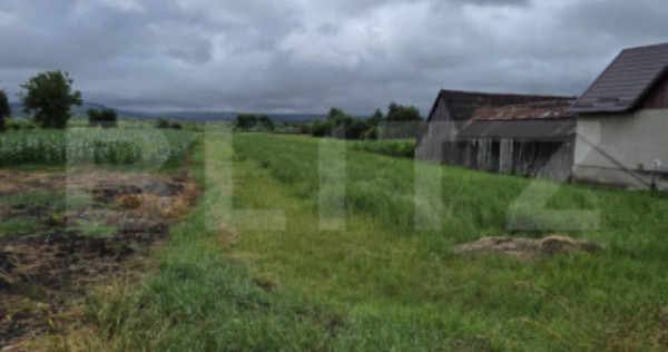 Teren intravilan 29 ari, Jelna, acces la asfalt