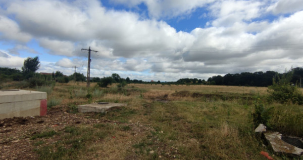 Teren extravilan, 6500mp, Cristian