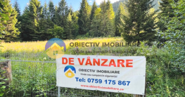 TEREN intravilan comuna TARCAU - SCHITU