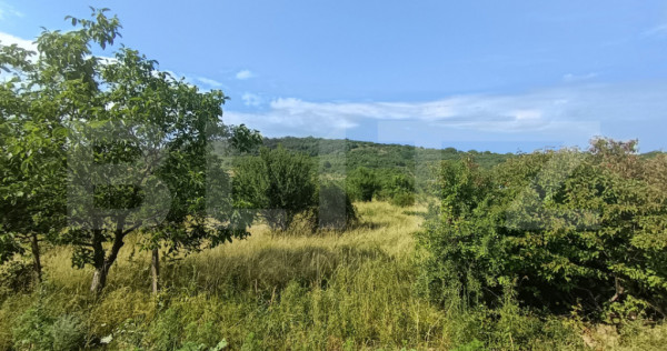 Teren intravilan, de vanzare, 1252 mp, zona Arghires