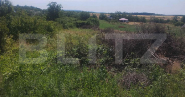 Teren intravilan Ardud Vii