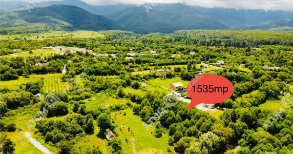 Teren de pe Valea Avrigului Sibiu