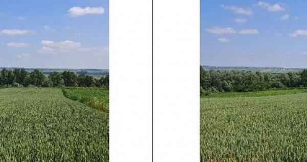 Teren extravilan Bosanci, ID: R2649420