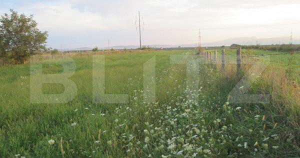 Teren intravilan 6000 mp cu 2 fronturi, parcelabil