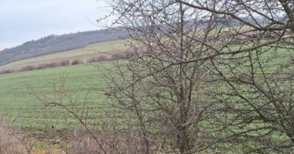 Teren cota parte 1/12 Deleni, ID: R2662164