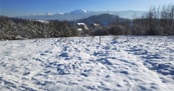 Teren 1344 mp de cu autorizatie de constructie str Cindrel