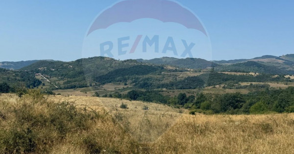 Teren 20,000mp Drobeta Turnu-Severin / Aleea La bogobia