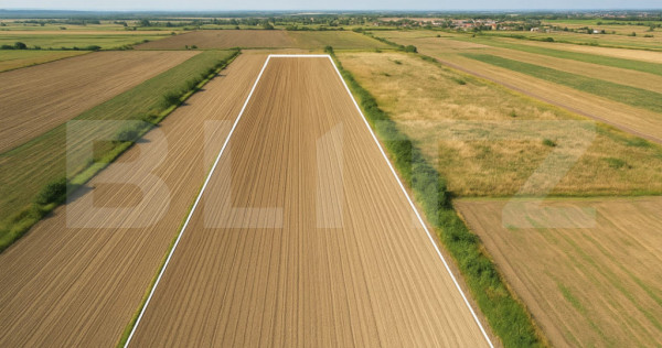Teren de vânzare – 11.600 mp – Stupini