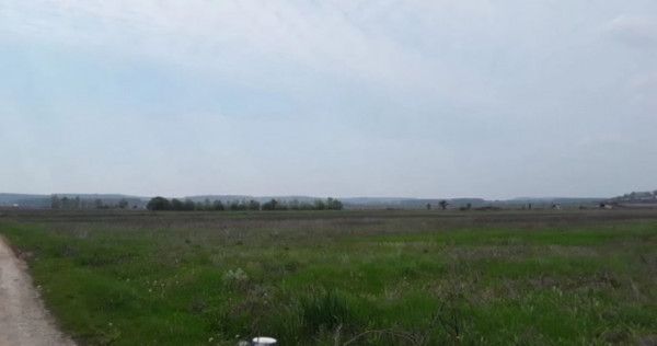 Teren intravilan, 12500 mp, Beharca