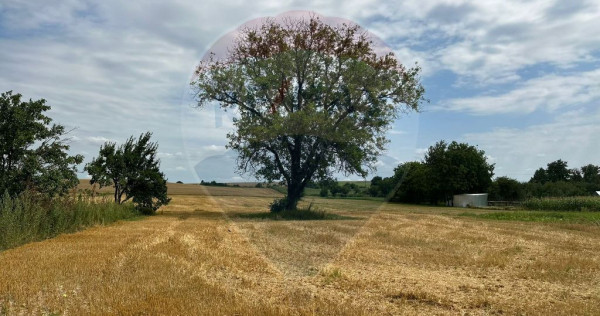 Casa si teren intravilan 4.779 mp Girov, Neamț