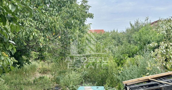 Teren 1084 mp in Dumbravita, vatra satului