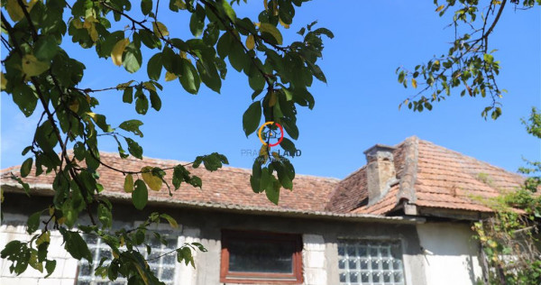 Casa traditionala Bruiu Somartin judet Sibiu