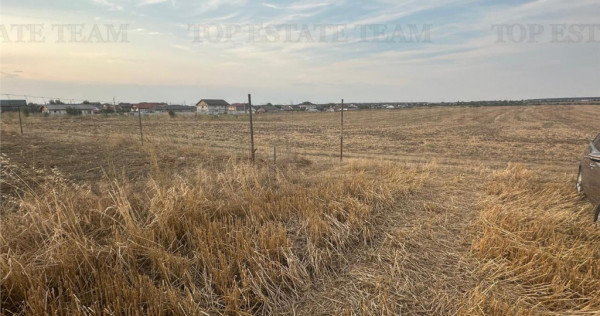 TEREN 2500MP BALACEANCA