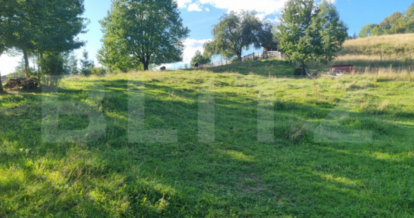 Teren într-o zonă superbă din Campulung Moldovenesc