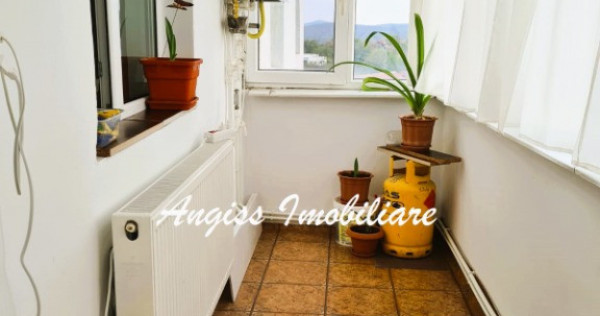 APARTAMENT 3 CAMERE | CARTIER C5